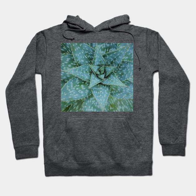 Aloe Maculata Arctic Hoodie by PLANTONE